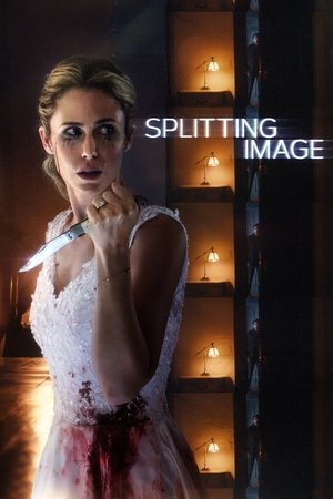 Watch Free Splitting Image (2017)