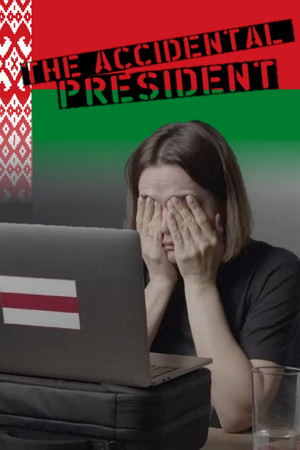 Watch Full Movie: The Accidental President (2024)