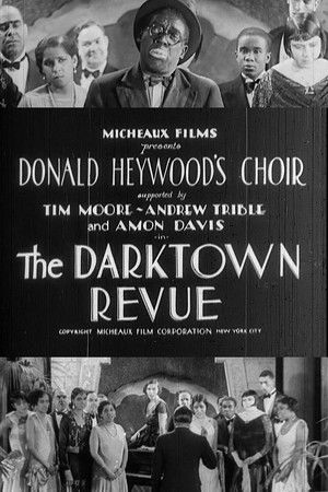Watch Free The Darktown Revue (1931)