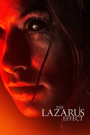 Watch Free The Lazarus Effect (2015)