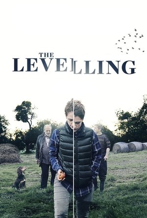 Watch Free The Levelling (2016)