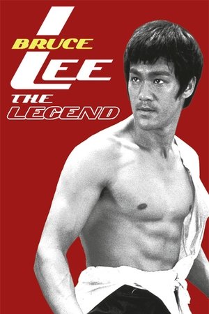 Watch Free Bruce Lee, the Legend (1984)