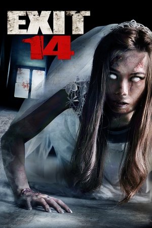 Watch Free Exit 14 (2016)