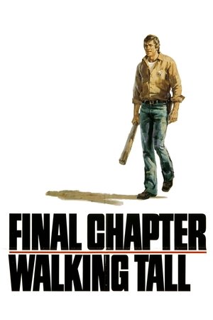 Watch Free Final Chapter: Walking Tall (1977)