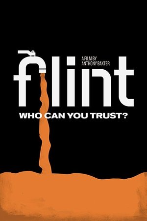 Watch Free Flint (2020)