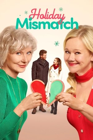 Watch Free Holiday Mismatch (2024)