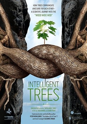 Watch Free Intelligent Trees (2016)