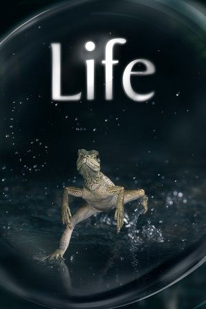 Watch Free Life (2009)
