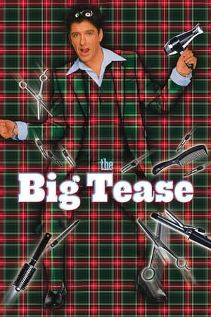 Watch Free The Big Tease (1999)