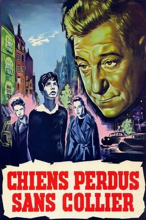 Watch Free The Little Rebels (1955)