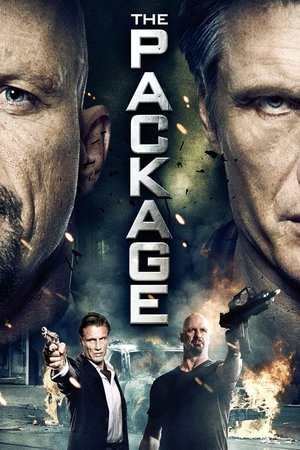 Watch Free The Package (2013)