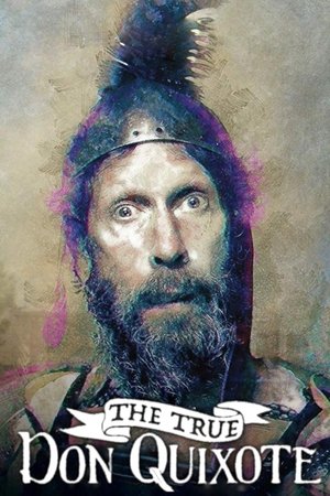 Watch Free The True Don Quixote (2017)