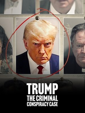 Watch Free Trump The Criminal Conspiracy Case (2024)
