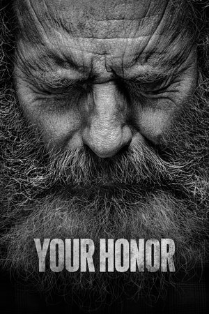 Watch Free Your Honor (2019 )