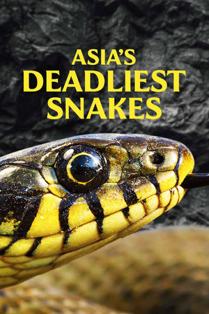 Watch Free Asias Deadliest Snakes (2010)
