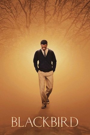 Watch Free Blackbird (2014)