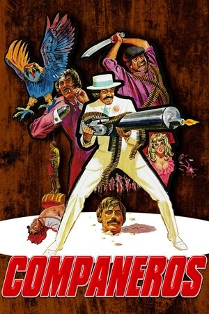 Watch Free Companeros (1970)