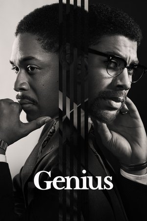 Watch Free Genius (TV Series 2017)