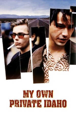 Watch Free My Own Private Idaho (1991)