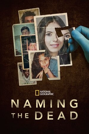Watch Free Naming the Dead (2025–)