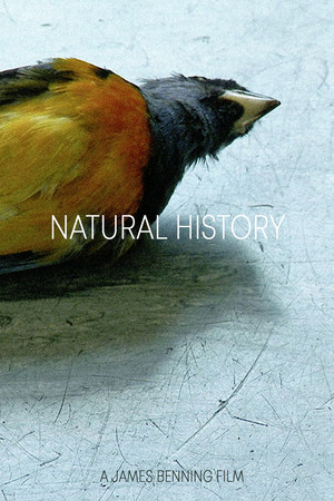 Watch Free Natural History (2014)