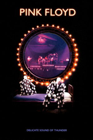 Watch Free Pink Floyd Delicate Sound of Thunder (1989)