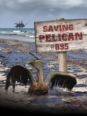 Watch Free Saving Pelican 895 (2011)