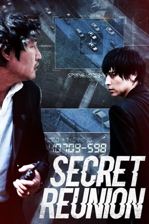 Watch Free The Secret Reunion (2010)