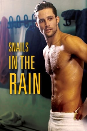 Watch Free Snails in the Rain (2013)