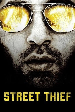 Watch Free Street Thief (2006)