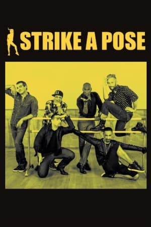 Watch Free Strike a Pose (2016)