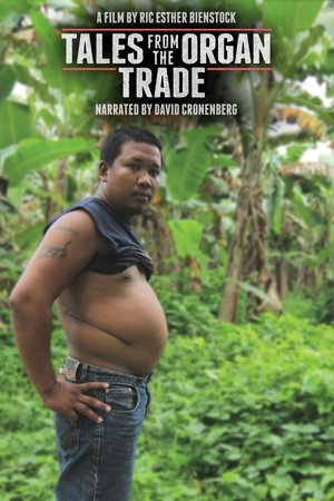 Watch Free Tales from the Organ Trade (2013)