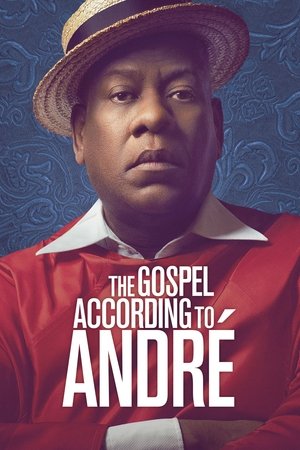 Watch Free The Gospel According to André (2017)
