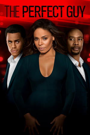 Watch Free The Perfect Guy 2015