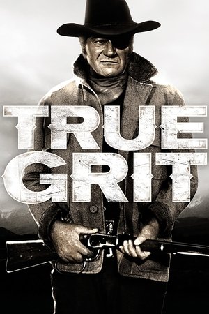Watch Free True Grit (1969)