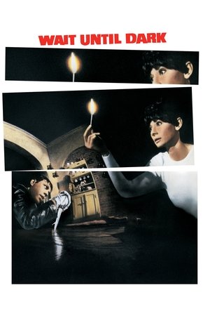 Watch Free Wait Until Dark (1967)
