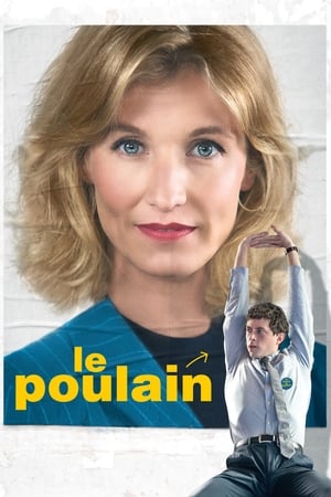 Watch Free We Need Your Vote (2018)