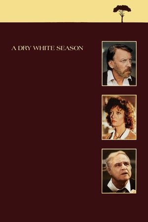 Watch Free A Dry White Season (1989)