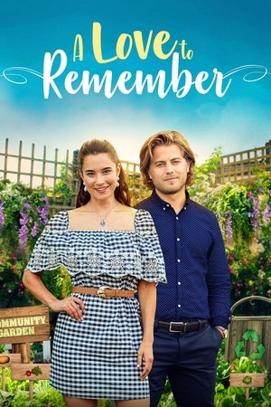 Watch Full Movie: A Love to Remember (2021)