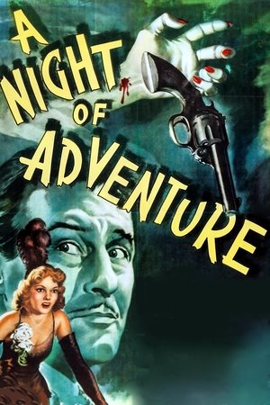 Watch Free A Night of Adventure (1944)