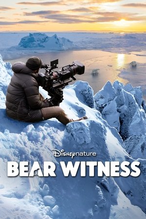 Watch Free Bear Witness (2022)