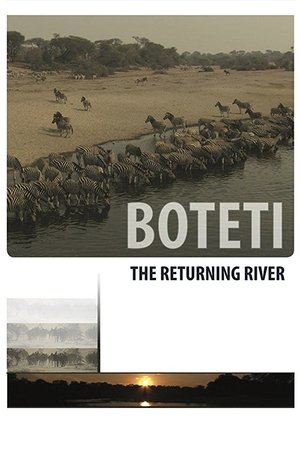 Watch Free Boteti: The Returning River (2011)