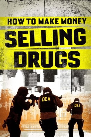 Watch Free How to Make Money Selling Drugs (2012)