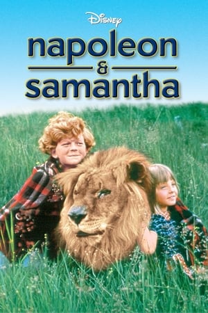 Watch Free Napoleon and Samantha (1972)