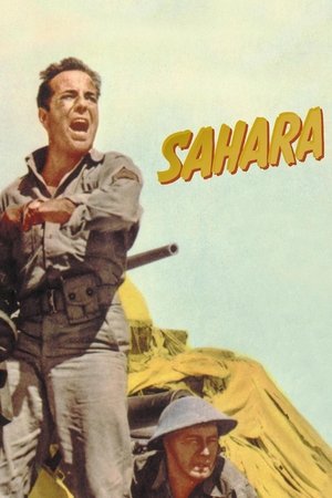 Watch Free Sahara (1943)