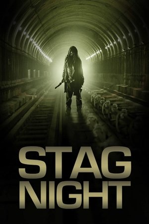 Watch Free Stag Night (2008)