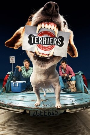 Watch Free Terriers (2010)
