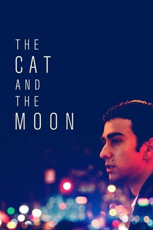 Watch Free The Cat and the Moon (2019)