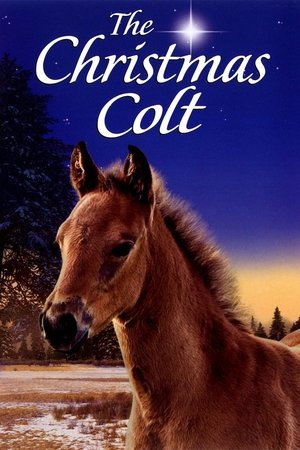 Watch Free The Christmas Colt (2013)