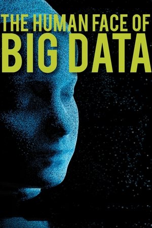 Watch Free The Human Face of Big Data (2014)